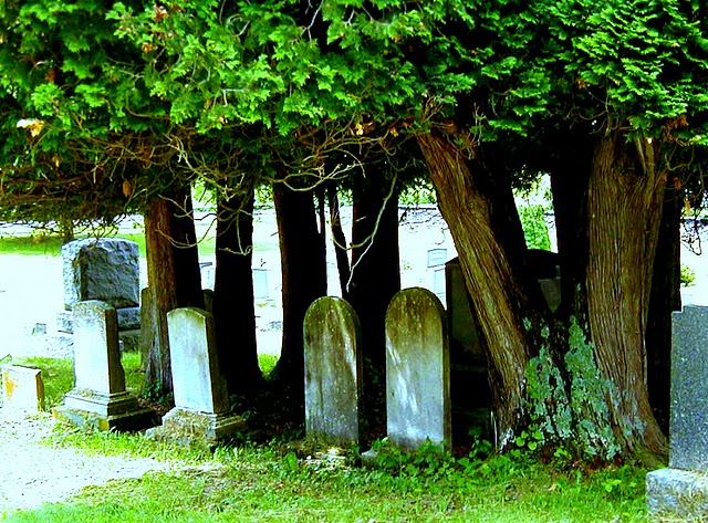 Rural graveyard in my childhood home of Freehold, is in a remote area where healthcare services for breast cancer treatment are not available easily.